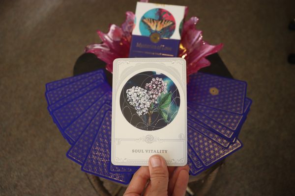 Blomkraft Studio by null