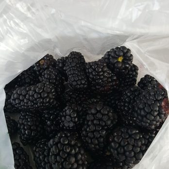 Apple Barrel Cider Mill - Fresh blackberries - Donuts Near Me - Ithaca, Michigan