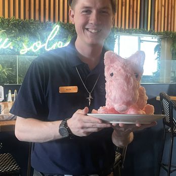 So Lou - Alex and our cotton candy Target dog - Cajun/Creole Near Me - Lafayette, Louisiana So Lou - Alex and our cotton candy Target dog - Cajun/Creole Near Me - Lafayette, Louisiana