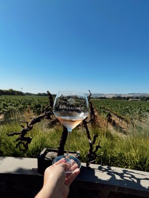 Sangiacomo Vineyards by null