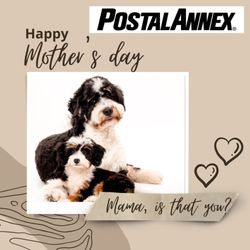Postal Annex San Antonio
