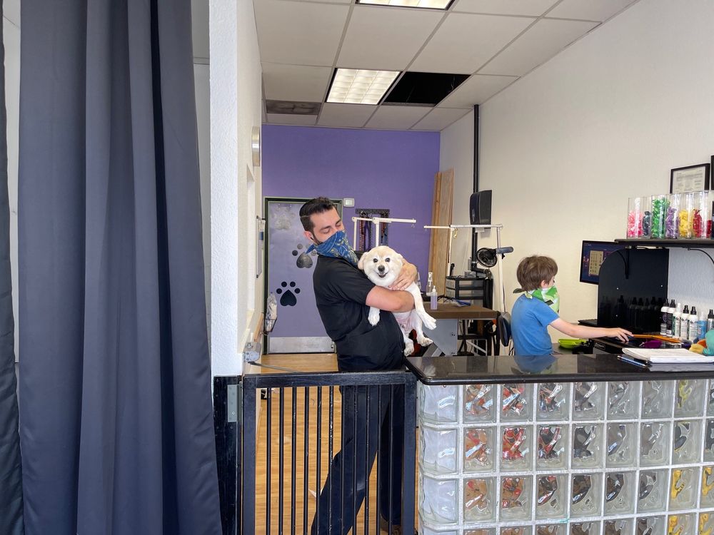 MY DOG SPOT Updated August 2024 48 Photos & 86 Reviews 14256