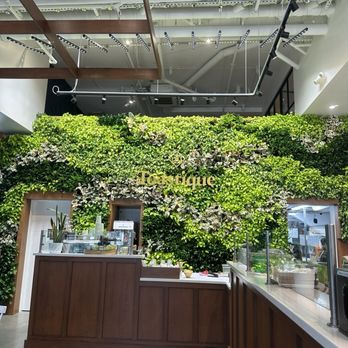 Toastique - Juice Bars & Smoothies Near Me - Washington, DC, District of Columbia