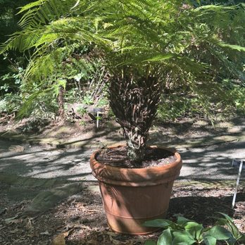 Frelinghuysen Arboretum - Botanical Gardens Near Me - Morristown, New Jersey