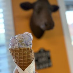 Here's The Scoop