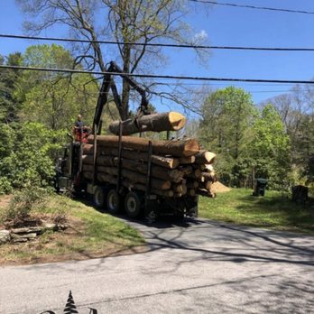 Adam’s Tree Service - Adam's Tree Service - Tree Services Near Me - Natick, Massachusetts