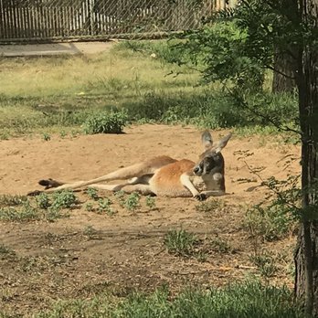 Denver Zoo - Zoos Near Me - Denver, Colorado Denver Zoo - Zoos Near Me - Denver, Colorado