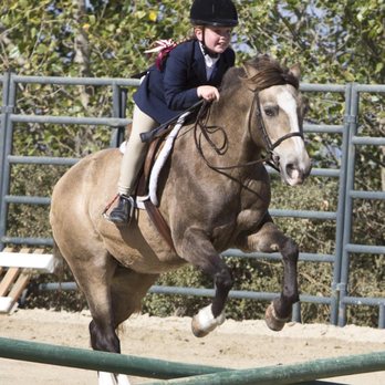 Jan Pearce Training - Woodside 2017 - Horseback Riding Near Me - Woodside, California