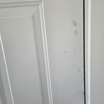 Bluebird Moving - Movers Near Me - Boise, Idaho