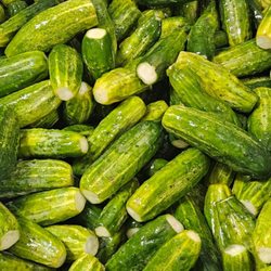 Deli Pro - We make our own pickles in house