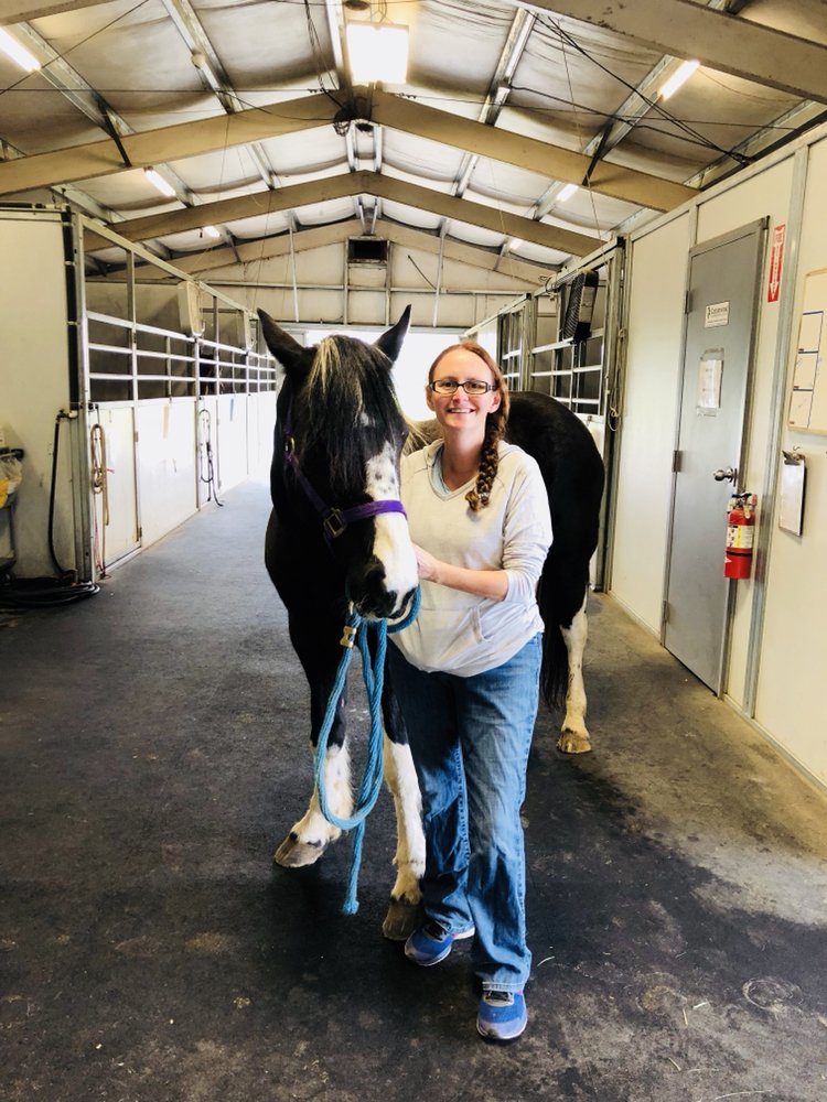 COTTONWOOD LARGE ANIMAL VETERINARIAN Updated September 2024 18