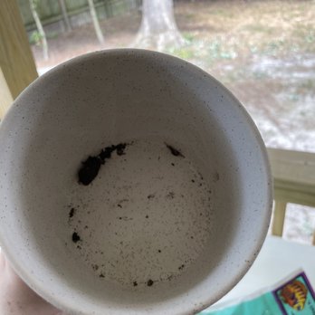 PlantHouse - Pot bought yesterday. No hole. - Nurseries & Gardening Near Me - Richmond, Virginia