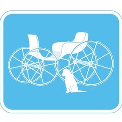 Carriage Fine Dry Cleaning - Carriage Fine Dry Cleaning