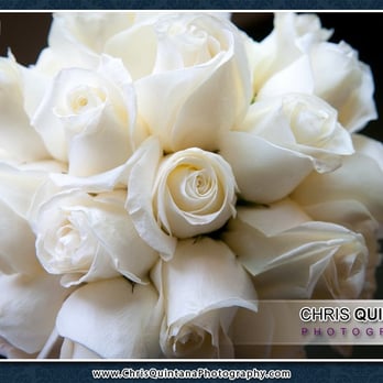 Chris Quintana Photography - Photographers Near Me