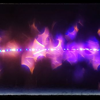 Winter Lights Festival - Festivals Near Me - Gaithersburg, Maryland