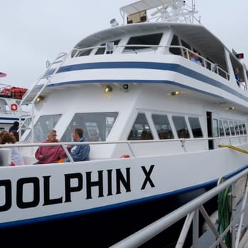 Dolphin Fleet - Good-sized boat for whale watching - Boat Charters Near Me - Provincetown, Massachusetts
