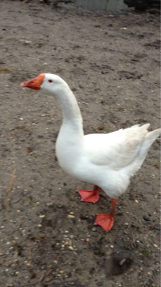 TAX PROS Updated October 2024 1316 W County Line Rd, Lakewood, New