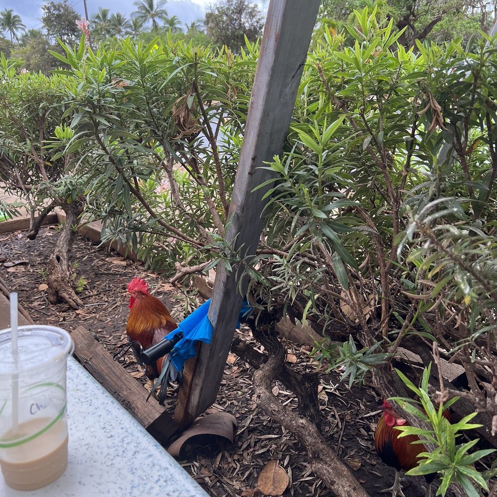 Kihei Caffe - Hawaiian Near Me - Kihei, Hawaii Kihei Caffe - Hawaiian Near Me - Kihei, Hawaii