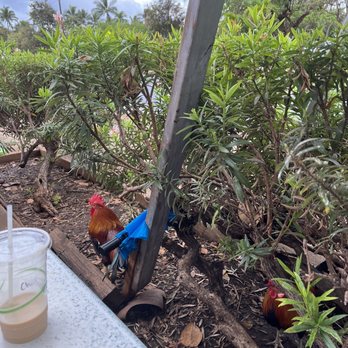 Kihei Caffe - Hawaiian Near Me - Kihei, Hawaii Kihei Caffe - Hawaiian Near Me - Kihei, Hawaii