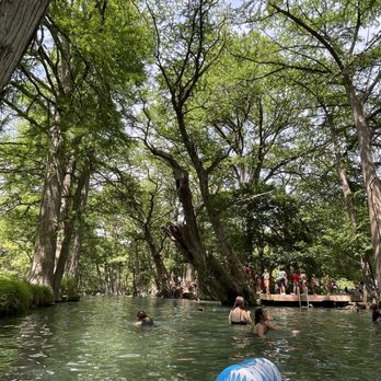 Blue Hole Regional Park - Parks Near Me - Wimberley, Texas Blue Hole Regional Park - Parks Near Me - Wimberley, Texas