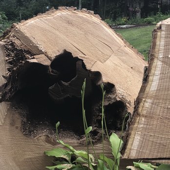 S.A.B. Tree Experts - Tree Services Near Me - North Franklin, Connecticut