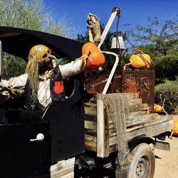 Enchanted Pumpkin Garden - Pumpkins - Pumpkin Patches Near Me - Carefree, Arizona Enchanted Pumpkin Garden - Pumpkins - Pumpkin Patches Near Me - Carefree, Arizona