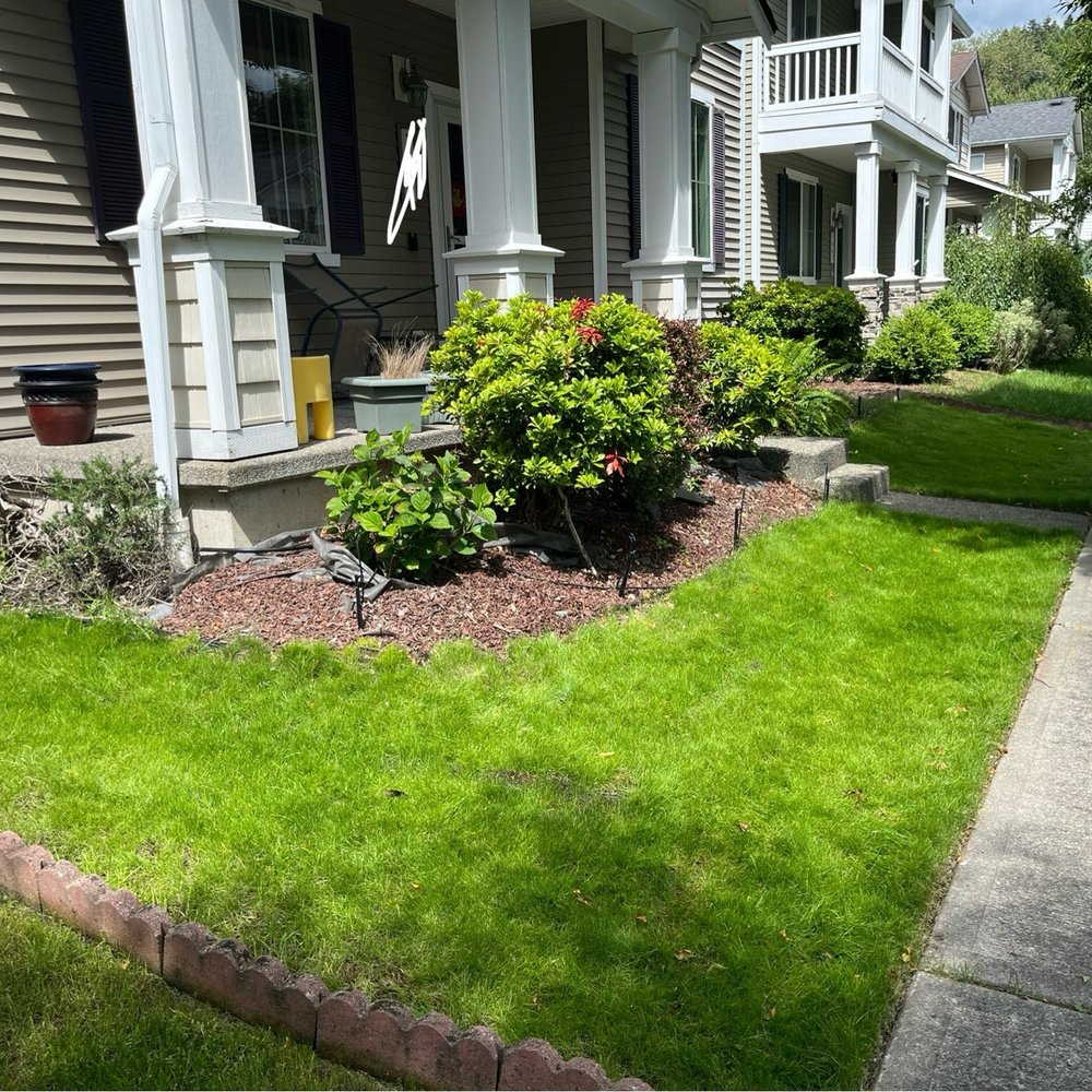 Spring Landscape - Grass has grown in! - Irrigation Near Me Spring Landscape - Grass has grown in! - Irrigation Near Me