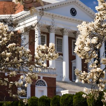 Gaffney Group - Compass - Real Estate Agents Near Me - Charlottesville, Virginia Gaffney Group - Compass - Real Estate Agents Near Me - Charlottesville, Virginia
