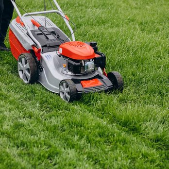 Bosco Lawn Care - Lawn Services Near Me Bosco Lawn Care - Lawn Services Near Me