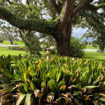 Destrehan Plantation - Landmarks & Historical Buildings Near Me - Destrehan, Louisiana
