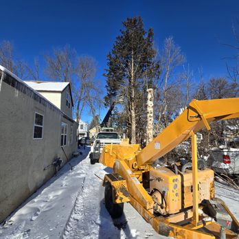 Foth's Top Notch Tree Service - Tree Services Near Me