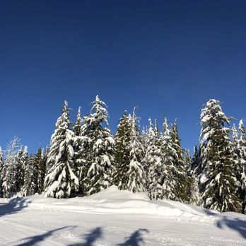 Blackcomb Snowmobiles - Tours Near Me - Whistler, British Columbia
