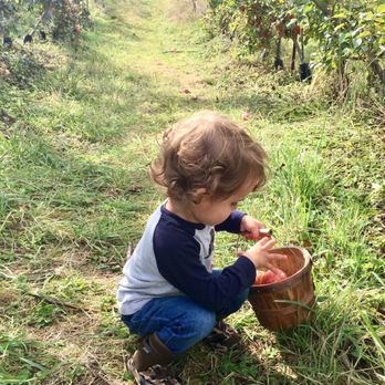 Skipley Farm - Nurseries & Gardening Near Me - Snohomish, Washington