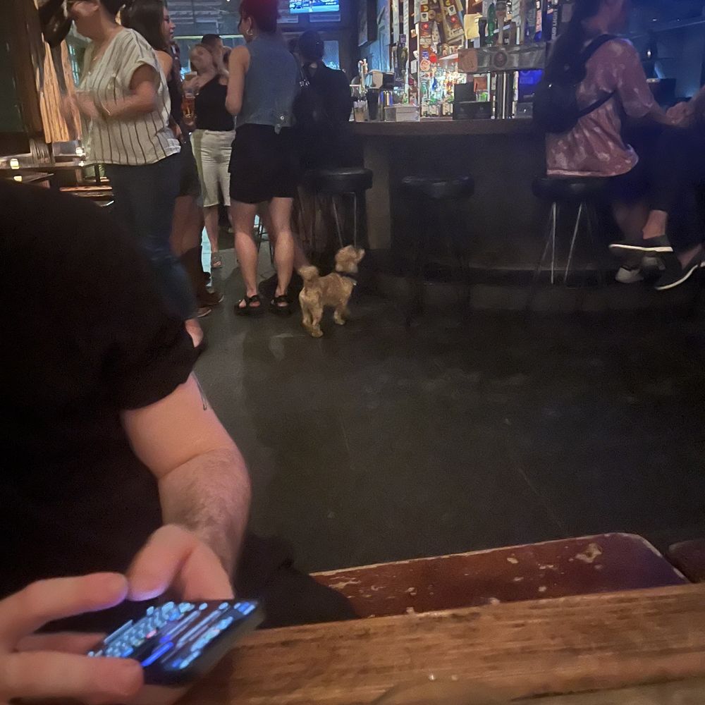 Allows gross outside animals to run on tables and across drinks Allows gross outside animals to run on tables and across drinks