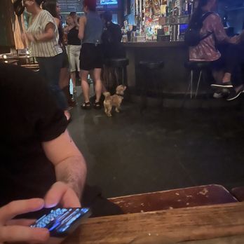 Tom & Jerry's - Allows gross outside animals to run on tables and across drinks - Bars Near Me - New York, New York Tom & Jerry's - Allows gross outside animals to run on tables and across drinks - Bars Near Me - New York, New York