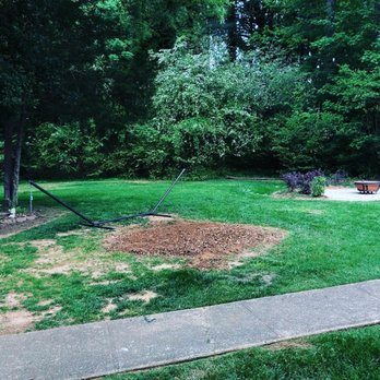 Amigo Tree Service - Stump gone! - Tree Services Near Me
