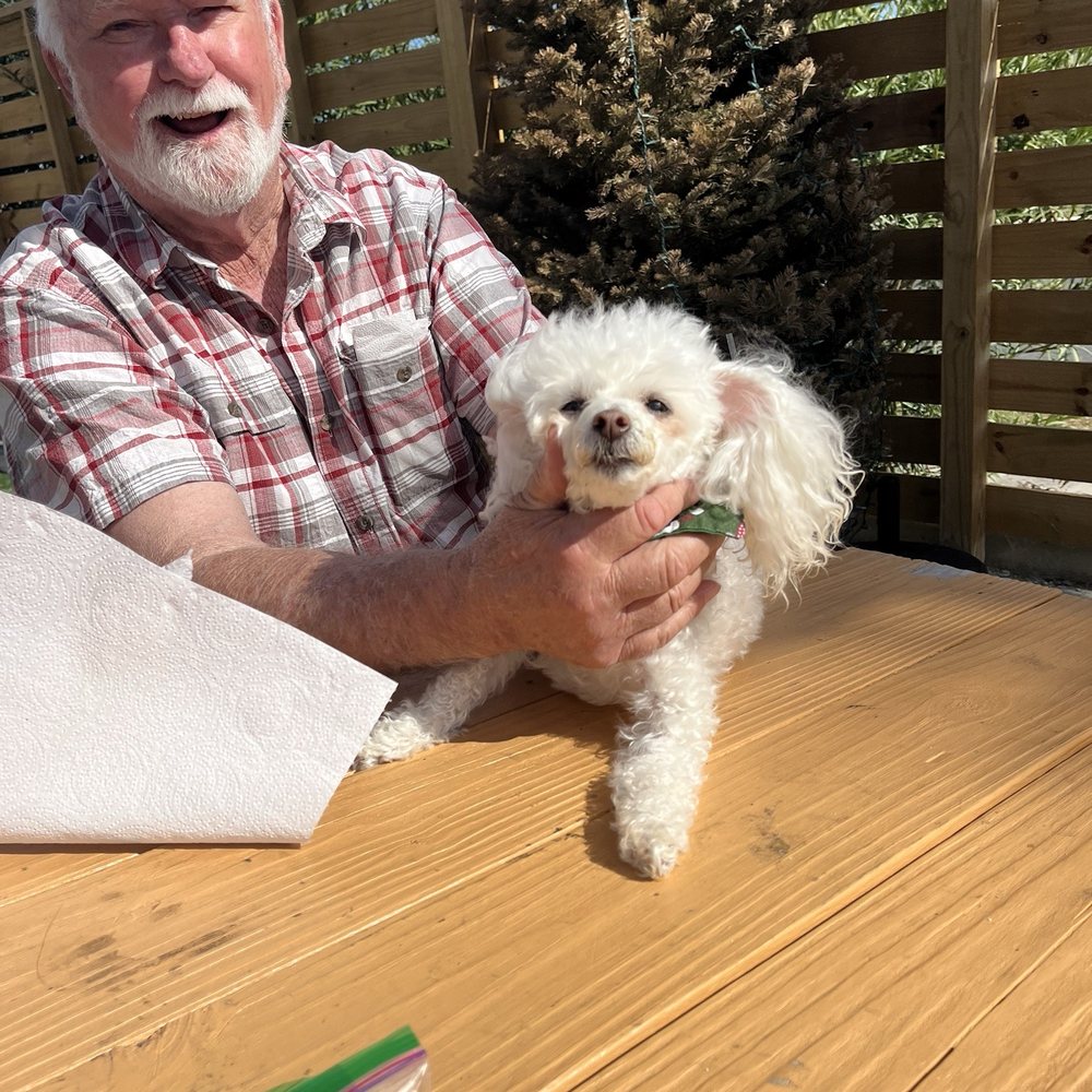 Dog loved the chicken didn't want her photo taken