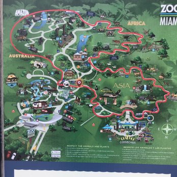 Zoo Miami - Zoo miami - Zoos Near Me - Miami, Florida Zoo Miami - Zoo miami - Zoos Near Me - Miami, Florida