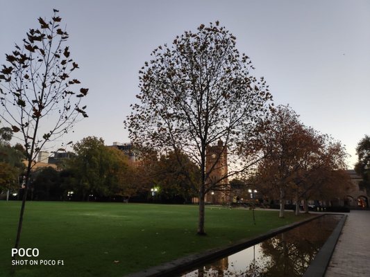 The University of Melbourne by null