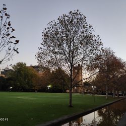 The University of Melbourne - South lawn