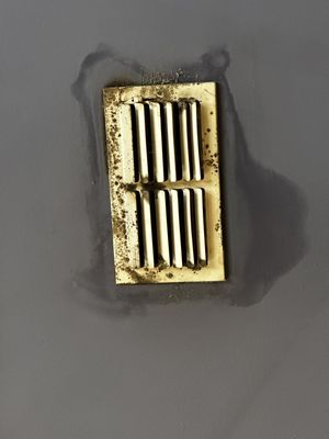 The Boll Weevil Cafe and Sweetery by null