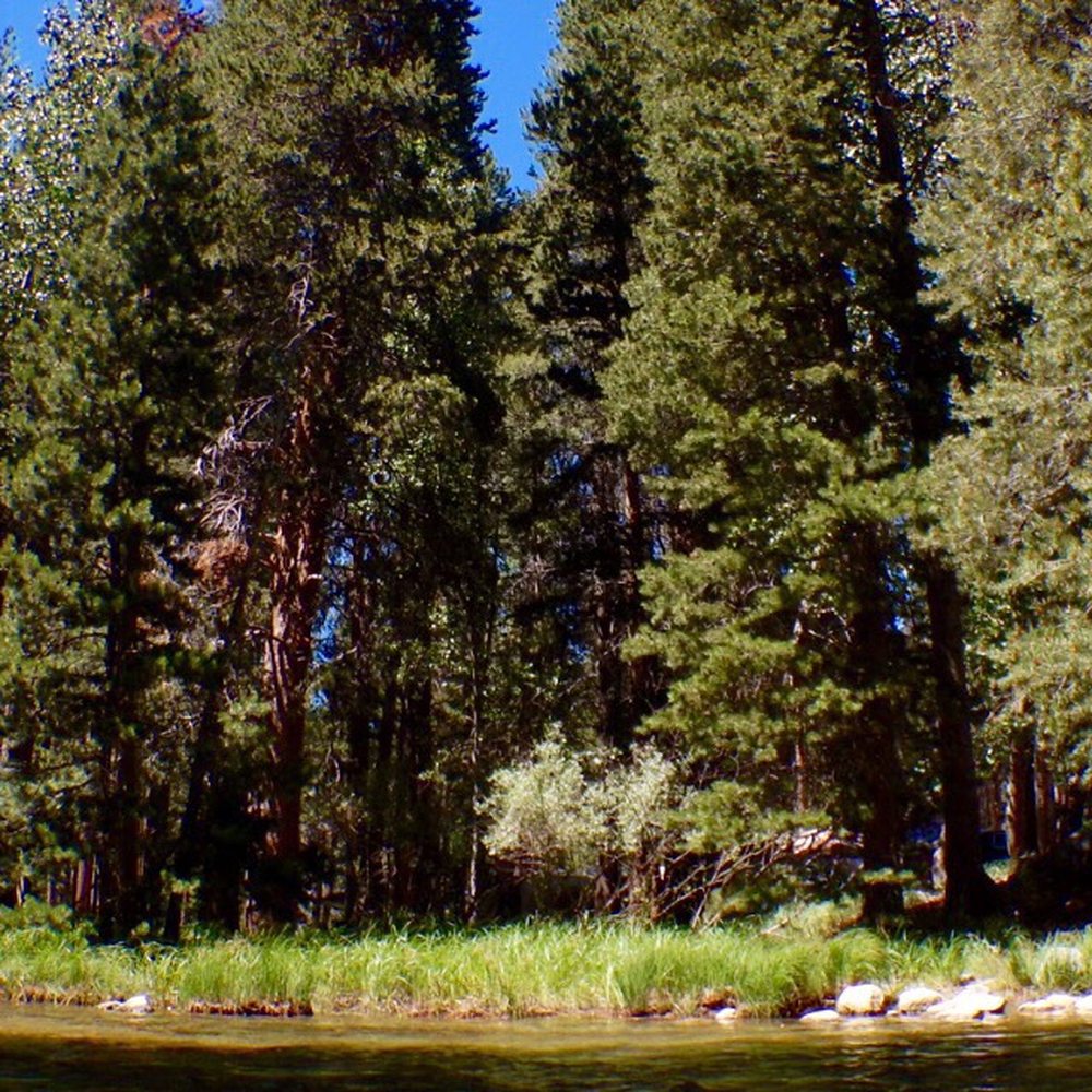 Robinson Creek Campground - The view from our campsite - Campgrounds Near Me - Bridgeport, California Robinson Creek Campground - The view from our campsite - Campgrounds Near Me - Bridgeport, California