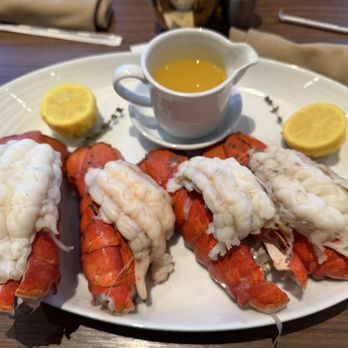Fresh Harvest Buffet - Lobsters - Buffets Near Me - Tampa, Florida Fresh Harvest Buffet - Lobsters - Buffets Near Me - Tampa, Florida