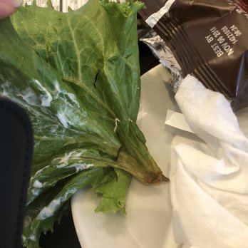 Panera Bread - Gross brown gunk in the lettuce. - Salad Near Me - East Hanover, New Jersey Panera Bread - Gross brown gunk in the lettuce. - Salad Near Me - East Hanover, New Jersey