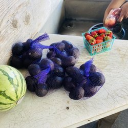 You can also wash the fruits here and enjoy it!