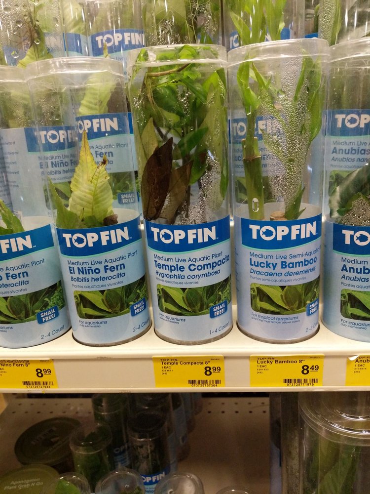 petsmart aquatic plants