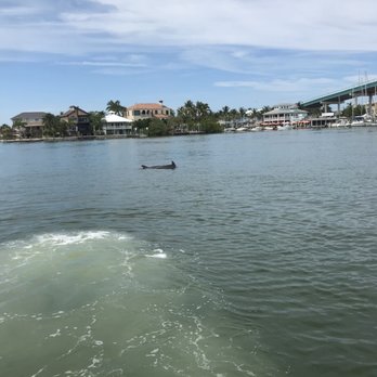 Tiny Tiki Tours - Dolphin - Boat Tours Near Me - Fort Myers Beach, Florida Tiny Tiki Tours - Dolphin - Boat Tours Near Me - Fort Myers Beach, Florida