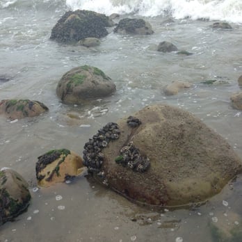 Hammonds Beach - Beaches Near Me - Santa Barbara, California