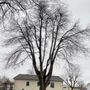 Photo of J & J Tree Service & More