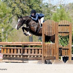 HOPE Horsepark